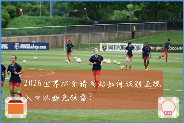 2026世界杯竞猜网站如何识别正规入口以避免踩雷?
