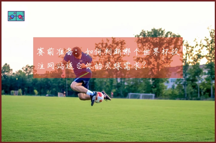 赛前准备：如何判断哪个世界杯投注网站适合你的买球需求？