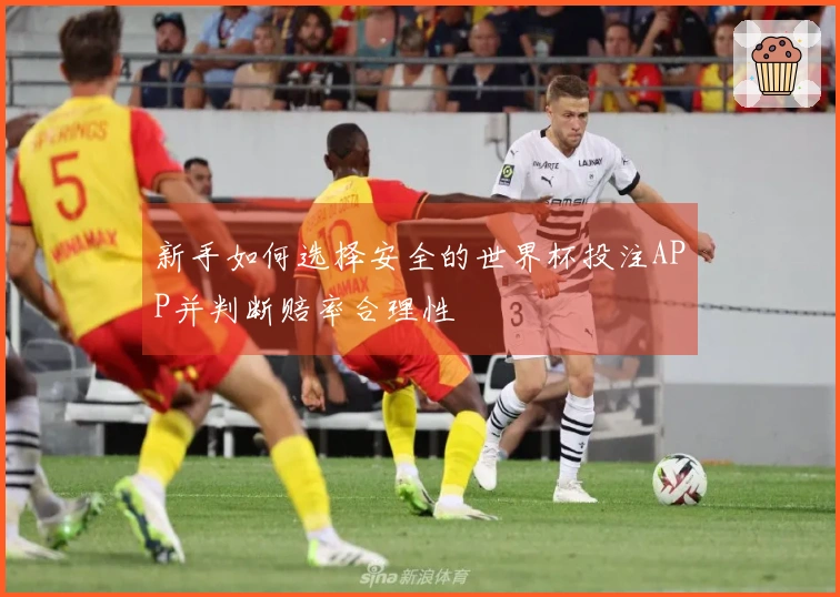 新手如何选择安全的世界杯投注APP并判断赔率合理性