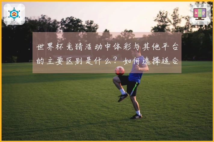 世界杯竞猜活动中体彩与其他平台的主要区别是什么？如何选择适合自己的下注方式？