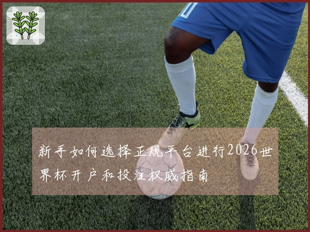 新手如何选择正规平台进行2026世界杯开户和投注权威指南
