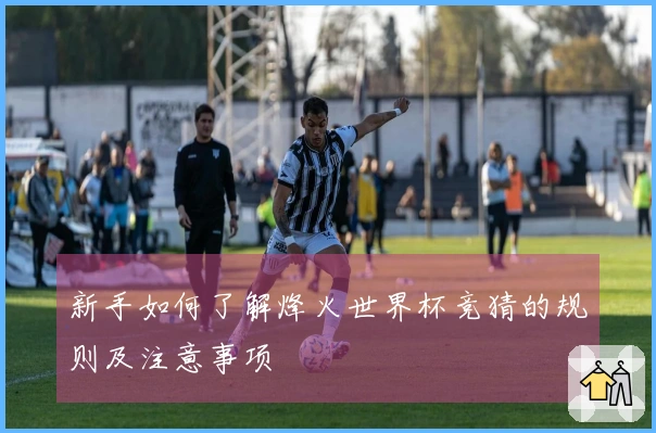新手如何了解烽火世界杯竞猜的规则及注意事项