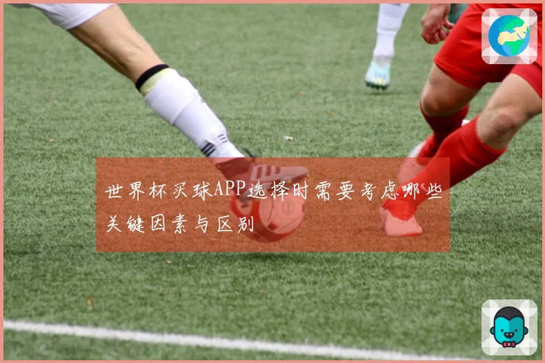 世界杯买球APP选择时需要考虑哪些关键因素与区别