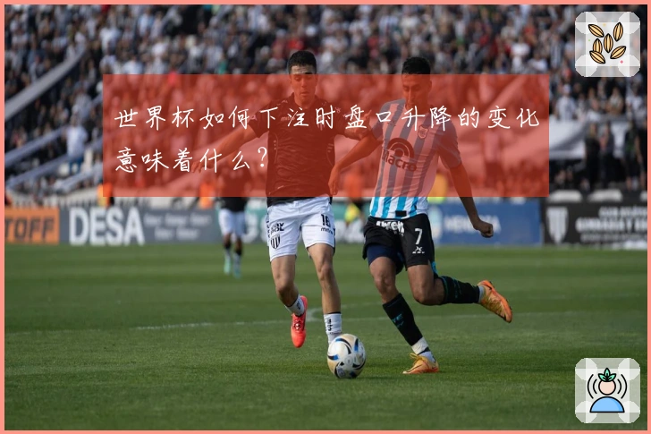 世界杯如何下注时盘口升降的变化意味着什么？