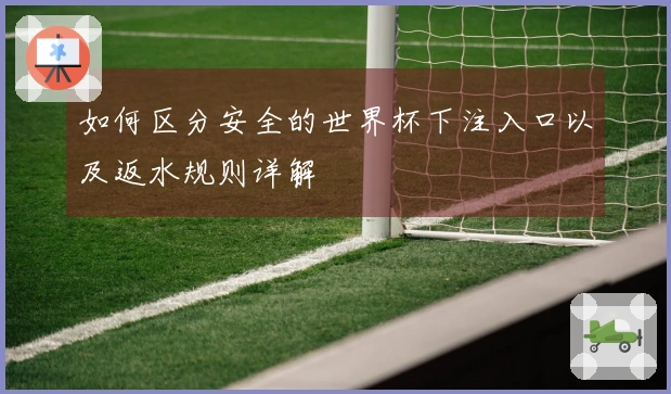如何区分安全的世界杯下注入口以及返水规则详解