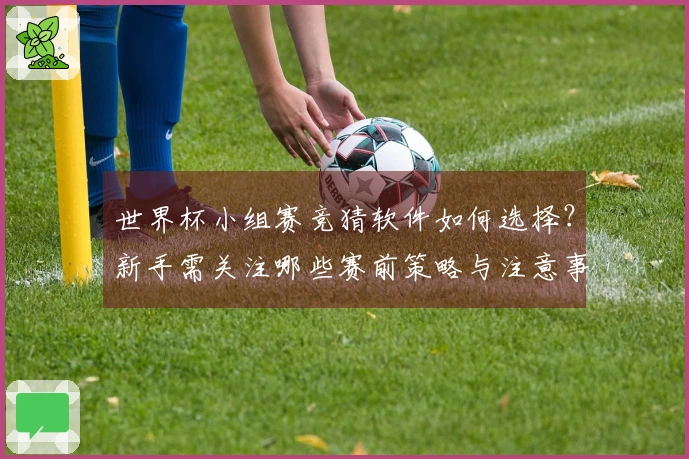 世界杯小组赛竞猜软件如何选择？新手需关注哪些赛前策略与注意事项