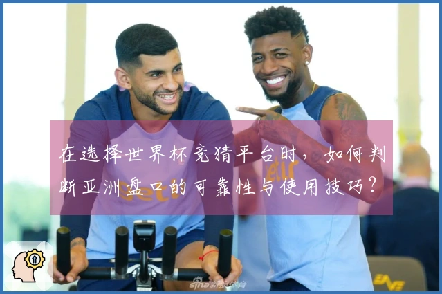 在选择世界杯竞猜平台时，如何判断亚洲盘口的可靠性与使用技巧？