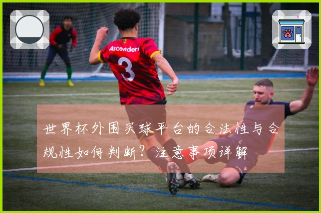 世界杯外围买球平台的合法性与合规性如何判断？注意事项详解