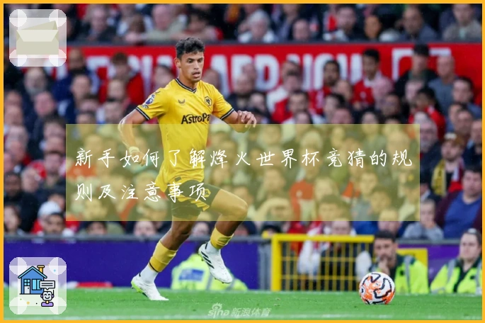 新手如何了解烽火世界杯竞猜的规则及注意事项