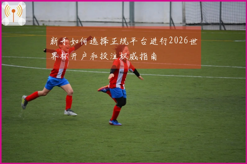 新手如何选择正规平台进行2026世界杯开户和投注权威指南