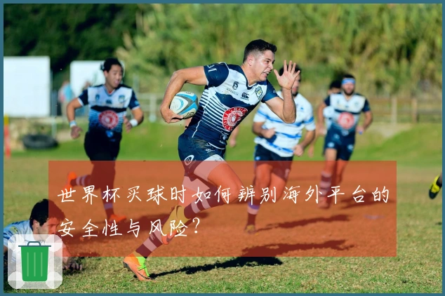 世界杯买球时如何辨别海外平台的安全性与风险？