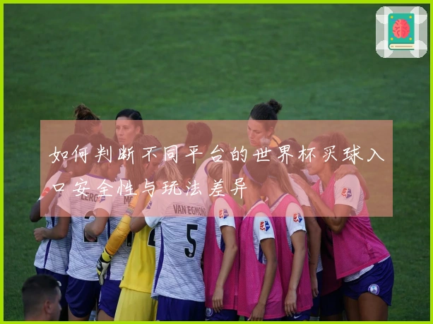 如何判断不同平台的世界杯买球入口安全性与玩法差异