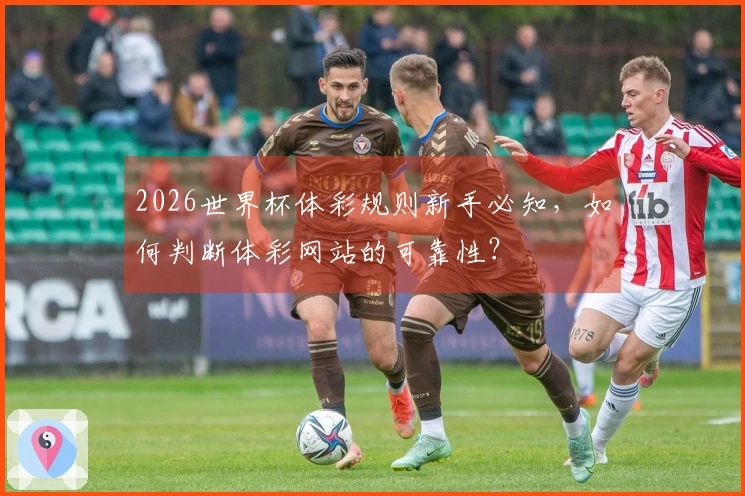 2026世界杯体彩规则新手必知，如何判断体彩网站的可靠性？
