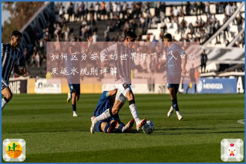 如何区分安全的世界杯下注入口以及返水规则详解