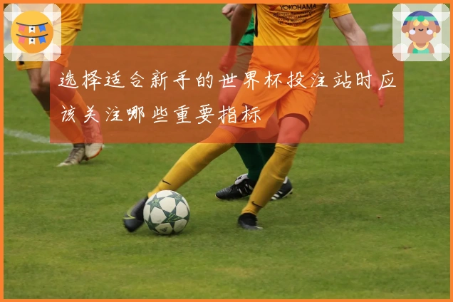 选择适合新手的世界杯投注站时应该关注哪些重要指标