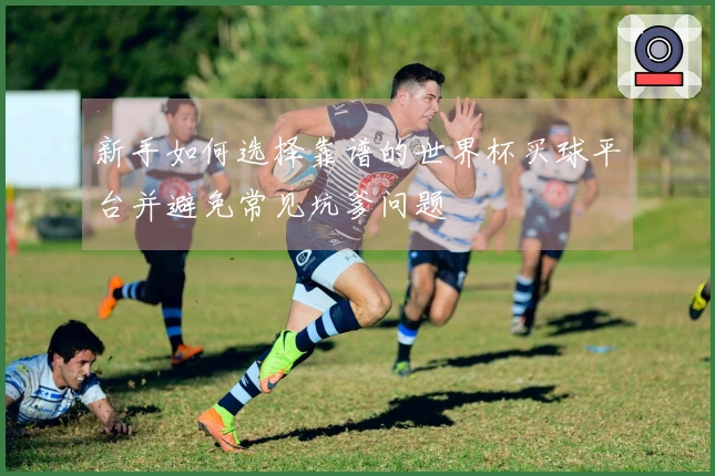 新手如何选择靠谱的世界杯买球平台并避免常见坑爹问题