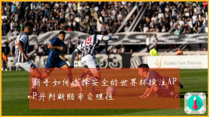 新手如何选择安全的世界杯投注APP并判断赔率合理性