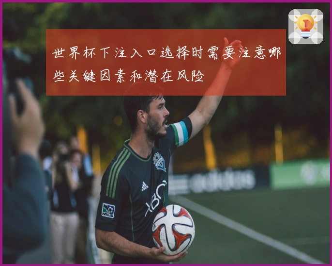 世界杯下注入口选择时需要注意哪些关键因素和潜在风险