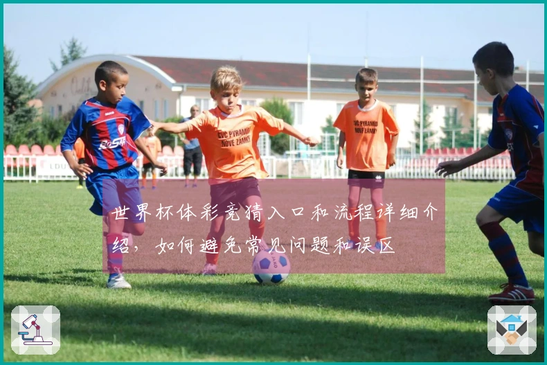 世界杯体彩竞猜入口和流程详细介绍，如何避免常见问题和误区