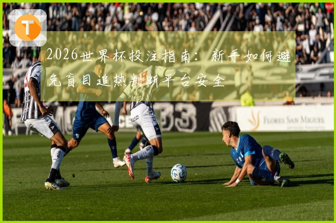 2026世界杯投注指南：新手如何避免盲目追热判断平台安全