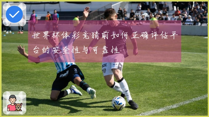世界杯体彩竞猜前如何正确评估平台的安全性与可靠性